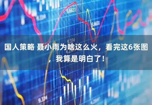 国人策略 聂小雨为啥这么火，看完这6张图，我算是明白了！